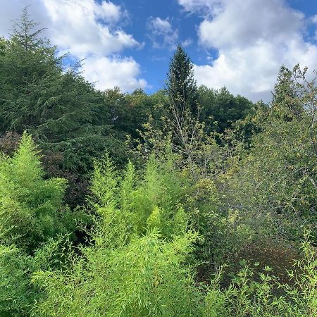 Seigy L'Albizia 아파트 외부 사진