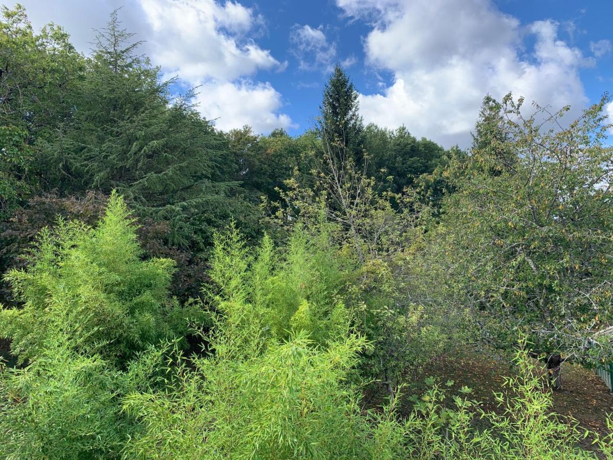 Seigy L'Albizia 아파트 외부 사진